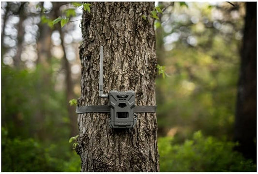 SPYPOINT Flex-M Twin Pack Cellular Trail Cameras - Image 2