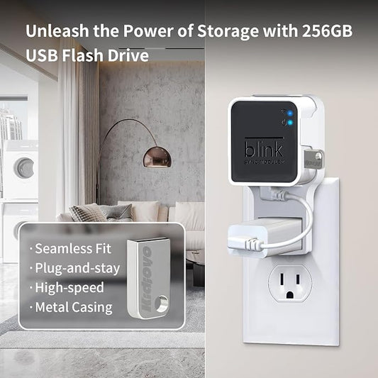 256GB Blink USB Flash Drive & Wall Mount - Image 2