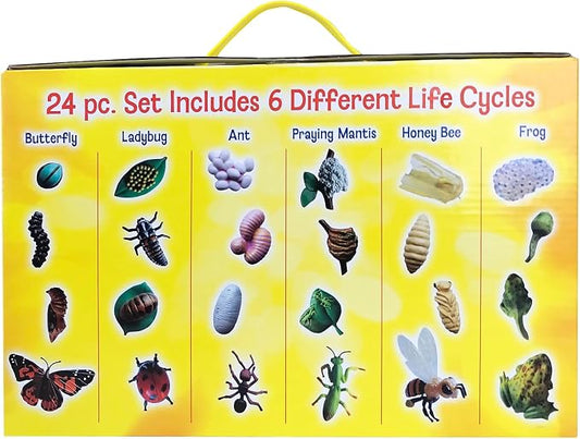 Insect Lore's Life Cycle Figurines 24 Pc Set | Butterfly, Honey Bee, Ant and - Image 2