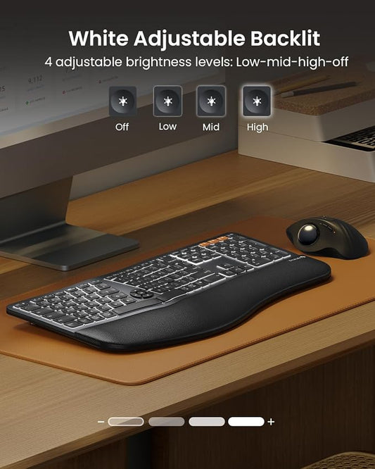 ProtoArc Backlit Bluetooth Ergonomic Keyboard, EK01 Plus Full Size Wireless - Image 2