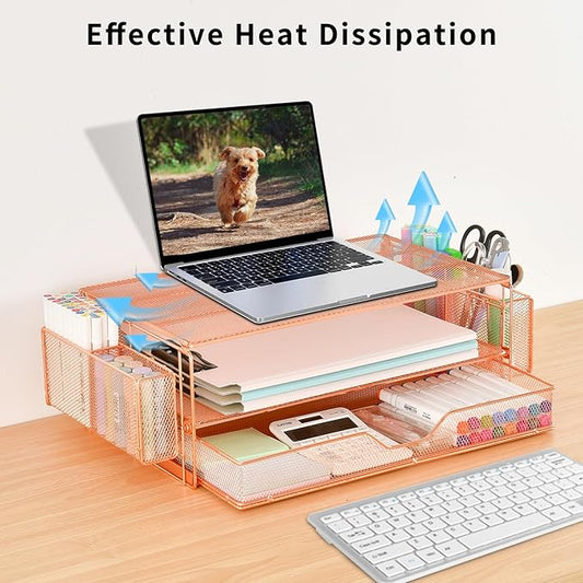 AUPSEN Computer Monitor Stands Riser,2-Tier Desk Organizers and Accessories - Image 2