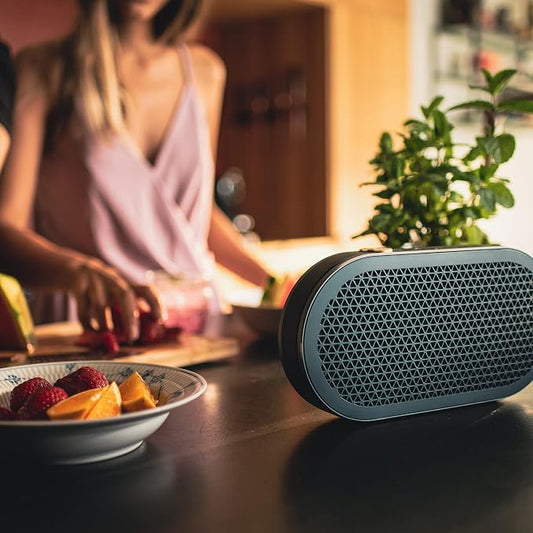 DALI Katch G2 Portable Bluetooth Speaker - Image 2