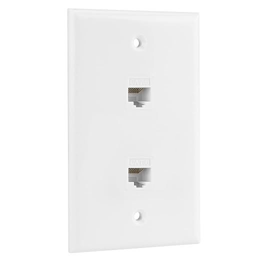 Ethernet Wall Plate, 2 Port Cat 6 RJ45 Keystone Female to Female Wall Plate by RICNOS