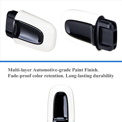 AeroBon Painted Ignition Switch Compatible - Image 5