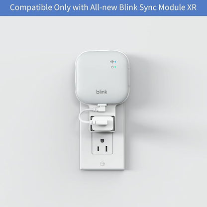 256GB MicroSD Card and Sync Module XR Mount, No-Drilling Mount - Image 2