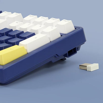 Wireless Mechanical Keyboard, Triple Mode 2.4G/USB-C/BT Gaming Keyboards 100 - Image 6