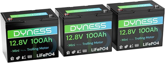 12V 100Ah Mini LiFePO4 Battery 3 Pack Group 24, 12 Volt Deep Cycle Lithium by Dyness