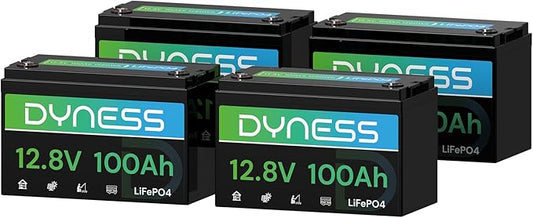 12V 100Ah LiFePO4 Lithium Battery BCI Group 31 by Dyness