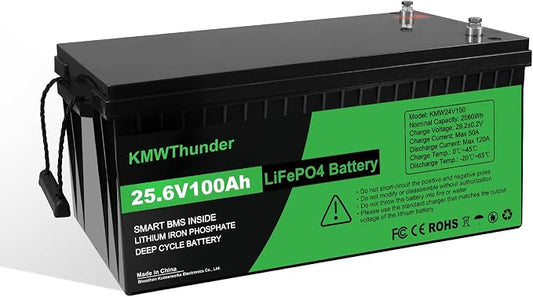 24V 100Ah LiFePO4 Lithium Battery, Built-in Smart BMS, Low-Temp Protection Up by LVGOOREVO