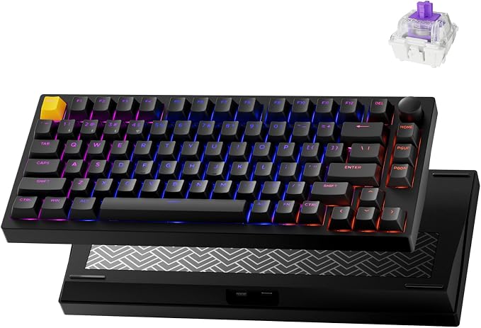 P1 HE 75% Wireless Custom Mechanical Gaming Keyboard by Lemokey