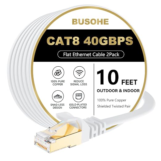 BUSOHE Cat 8 Ethernet Cable 10 FT 2Pack, 40Gbps 2000Mhz High Speed Flat Cat8 by BUSOHE