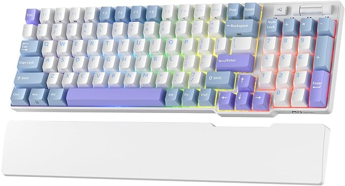 RK ROYAL KLUDGE RK96 RGB Limited Ed, 90% 96 Keys Wireless 3-Mode by MechanicalGamingKeyboard