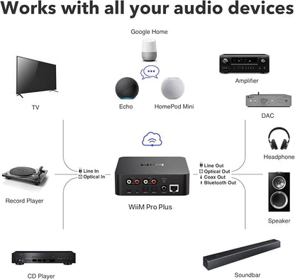 WiiM Pro Plus AirPlay 2 Receiver, Google Cast Audio, Voice Remote, Works - Image 5