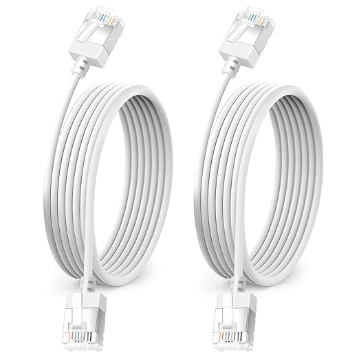 Ultra Thin Cat 6A Ethernet Cable 30 Feet 2Pack, Flexible & Slim Rj45 Cat6a LAN by DUTEVOLNS