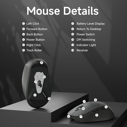 EWEADN Q5 Wireless Mouse, Battery Level Display, Ergonomic Office Mouse - Image 9