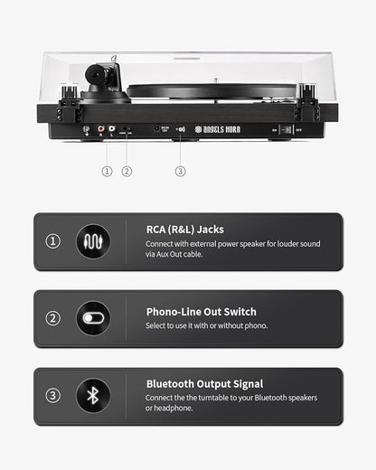 ANGELS HORN High Fidelity Vinyl Record Player, 2 Speed Belt Drive, Built-in - Image 5