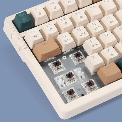 Wireless Mechanical Keyboard, Triple Mode 2.4G/USB-C/BT Gaming Keyboards 100 - Image 5