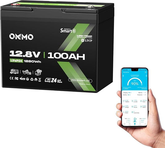 12V 100Ah LiFePO4 Battery with Bluetooth, BCI Group 24, Built-in 100A BMS by OKMOBeYourHomePowerBackup
