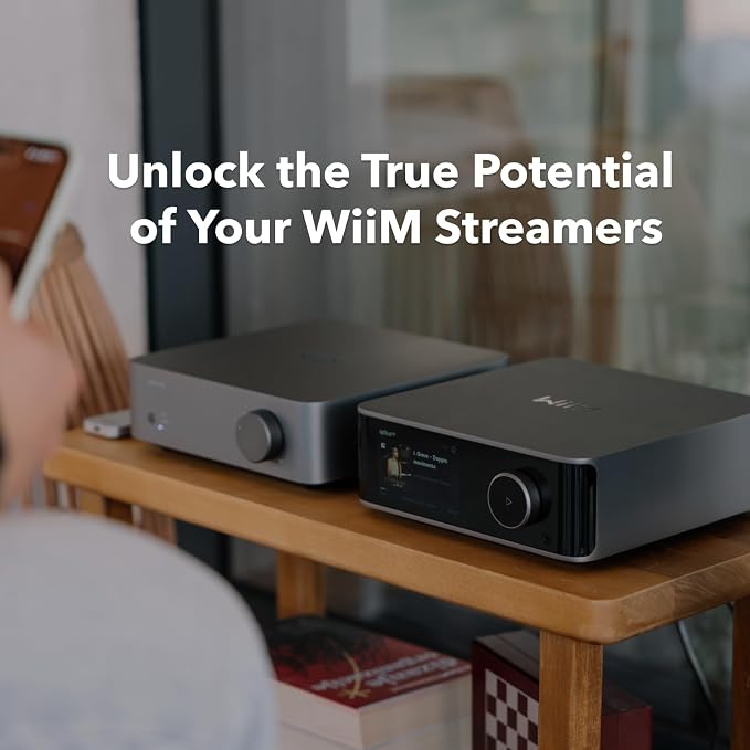 WiiM Vibelink Amp | 100W Power Amplifier - Image 6
