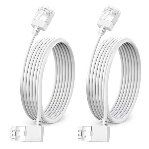 Ultra Slim 90° Degree Cat 6A Ethernet Cable Left Angled 3.3 Feet 2Pack by DUTEVOLNS