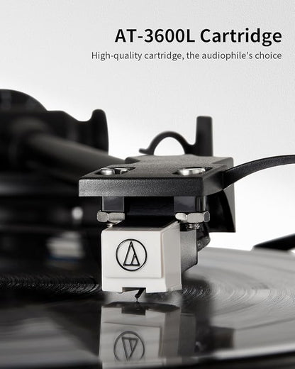 ANGELS HORN Turntable, Vinyl Record Player, Built-in Phono Preamp, Belt Drive - Image 3