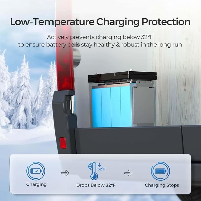 Renogy 4PCS 12V 100Ah LiFePO4 Lithium Battery Mini Size, 100A BMS - Image 3