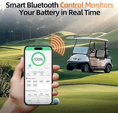 48V 100Ah LiFePO4 Golf Cart Lithium Battery Bluetooth - Image 8