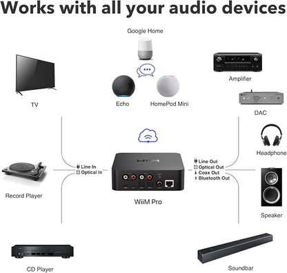 WiiM Pro AirPlay 2 Receiver, Google Cast Audio, WiFi Multiroom Streamer - Image 7
