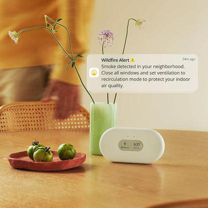Airthings 2960 View Plus - Image 11