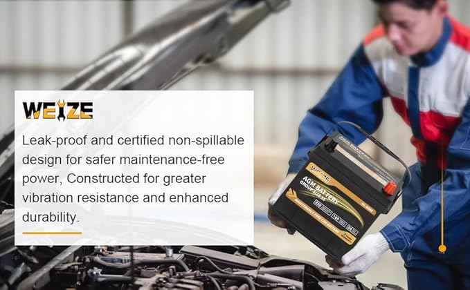 Weize Platinum AGM Battery BCI Group 35 Automotive Battery, 36 Months Warranty - Image 6
