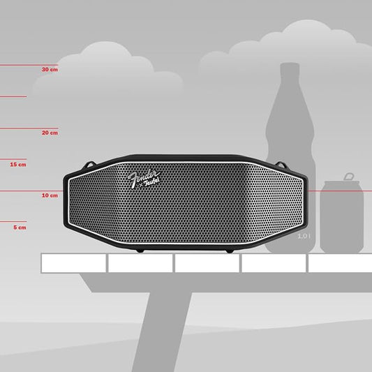 Fender x Teufel ROCKSTER CROSS Portable Wireless Bluetooth Speaker – Rugged - Image 2