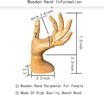 yangjietf mannequin, mannequin hand, hand model, hand mannequin - Image 6