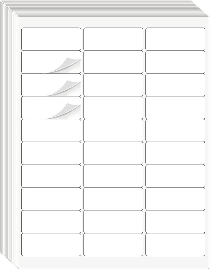 1" x 2-5/8" Address Labels 3000 Labels Sticker Paper by DINIZON