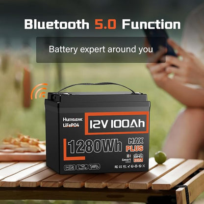 12V 100Ah LiFePO4 Lithium Battery MAX PLUS, Built-in 110A BMS & Bluetooth 5.0 - Image 3