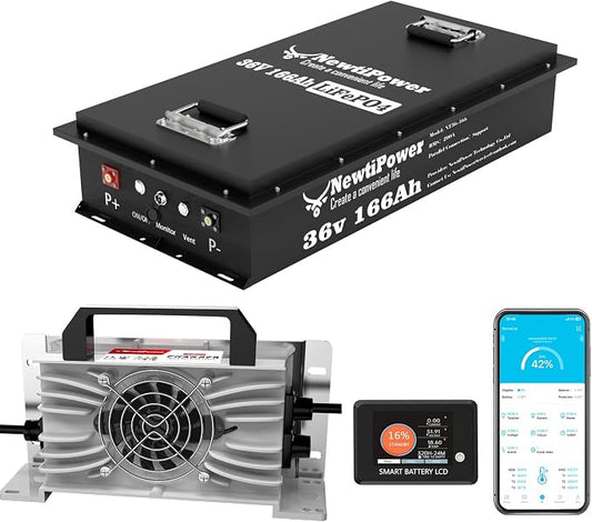 36V 166Ah Golf Cart Lithium LiFePO4 Battery by NewtiPower