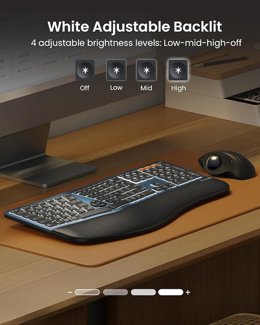 ProtoArc Backlit Bluetooth Ergonomic Keyboard, EK01 Plus Full Size Wireless - Image 2