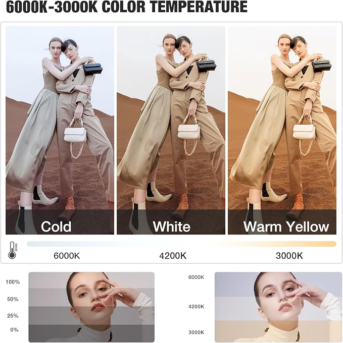 BEIYANG Softbox Lighting Kit, 2x20''x28'' Photography Soft Box - Image 3
