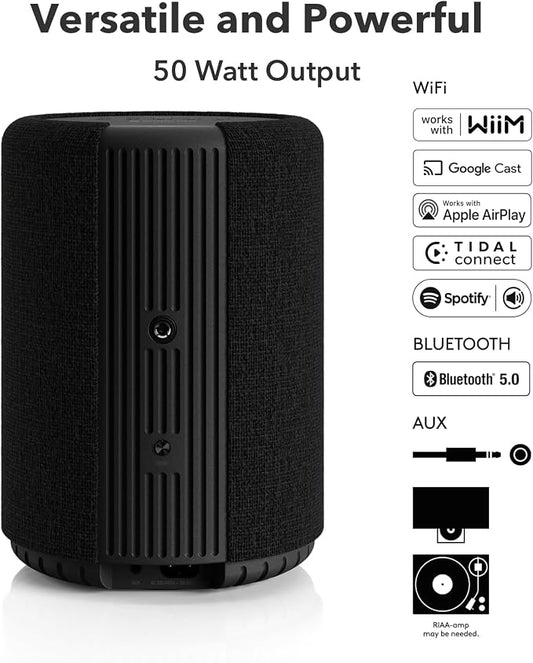 Audio Pro A10 MKII Wireless Multiroom Speaker, WiiM Edition | High Fidelity - Image 2
