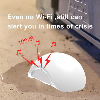 Water Leak Sensor Alarm Temperature Wireless Mini Flood Detector - Image 3
