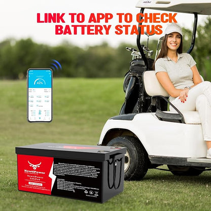 48V 100Ah Golf Cart Lithium LiFePO4 Battery - Image 5