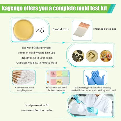 Mold Test Kit for Home - Image 3