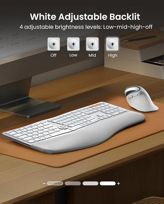 ProtoArc Backlit Bluetooth Ergonomic Keyboard, EK01 Plus Full Size Wireless - Image 2