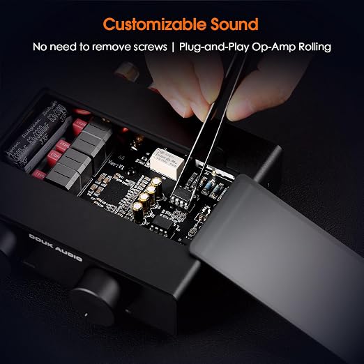 Douk Audio A5 2 Channel TPA3255 Stereo Amp, 300 Watts x2 Mini Hi-Fi Audio Power - Image 5