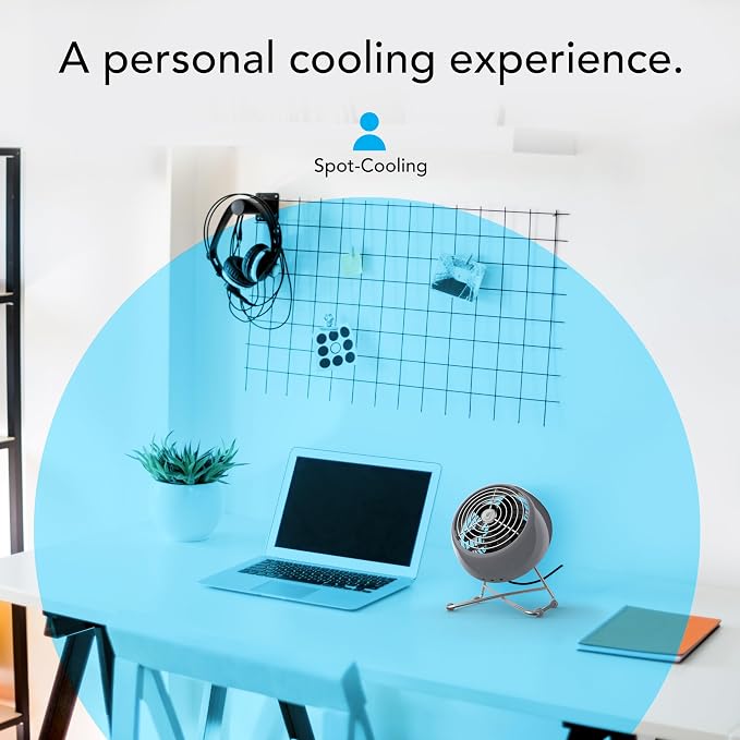 Vornado VFAN™ Mini Modern Vintage Fan, Retro Metal Air Circulator, Fan - Image 4
