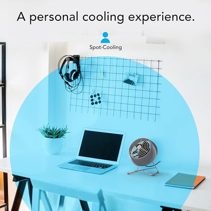 Vornado VFAN™ Mini Modern Vintage Fan, Retro Metal Air Circulator, Fan - Image 4