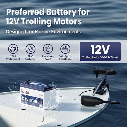 12V 100Ah LiFePO4 Battery with Low Temperature Cut off Protection Group31 - Image 4