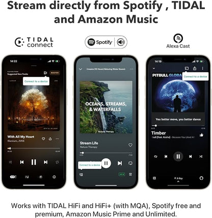 WiiM Pro Plus AirPlay 2 Receiver, Google Cast Audio, Voice Remote, Works - Image 7