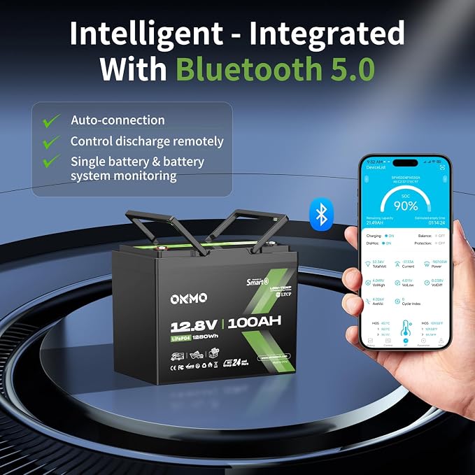 12V 100Ah LiFePO4 Battery with Bluetooth, BCI Group 24, Built-in 100A BMS - Image 2
