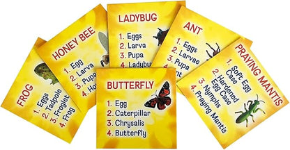 Insect Lore's Life Cycle Figurines 24 Pc Set | Butterfly, Honey Bee, Ant and - Image 5