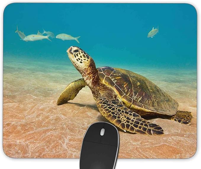 Sea Turtle Gaming Mouse Pad， Rectangle Mouse Pad Size by Qien+BaiSei